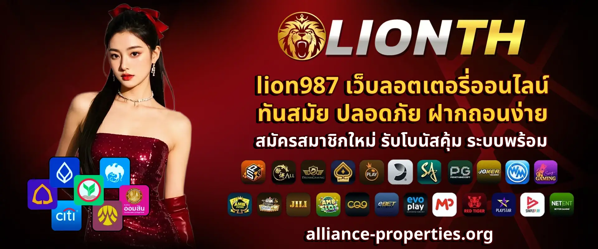 lion987